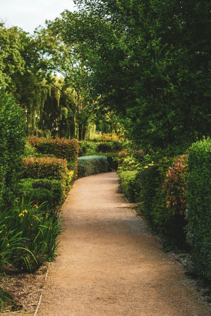 A peaceful garden path surrounded by vibrant hedges and greenery, perfect for nature walks.